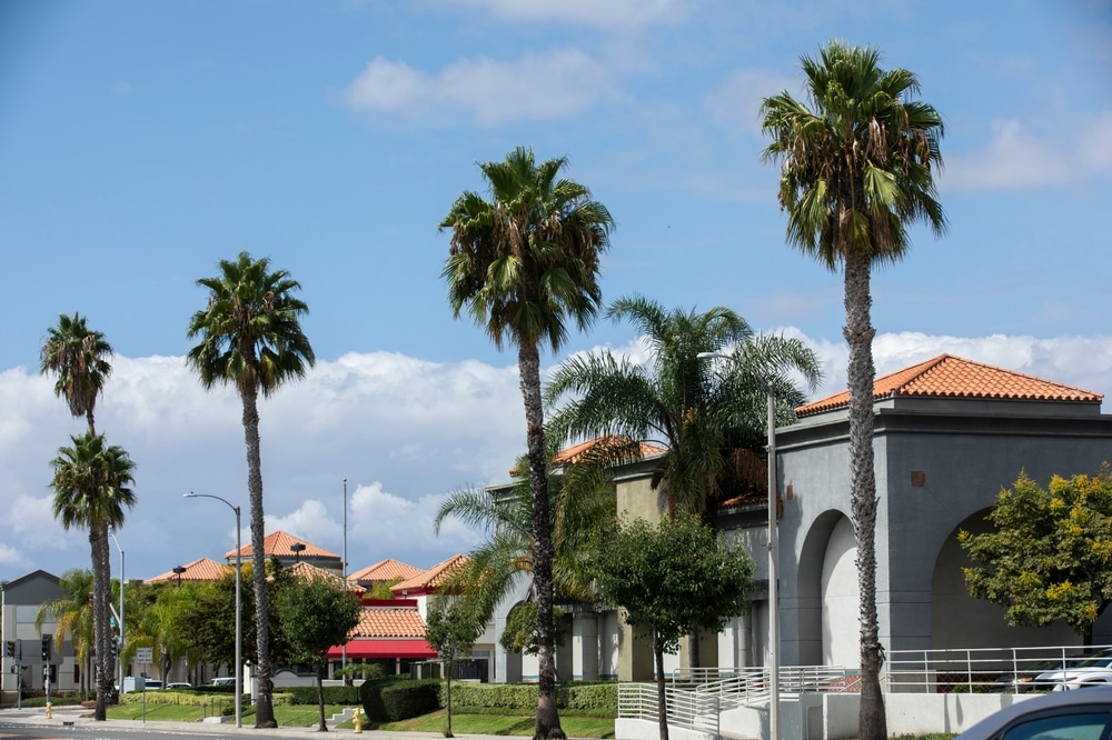 Palm trees and Spanish-style buildings along a sunny street in Westminster, CA, highlighting the city’s suburban charm and cultural character