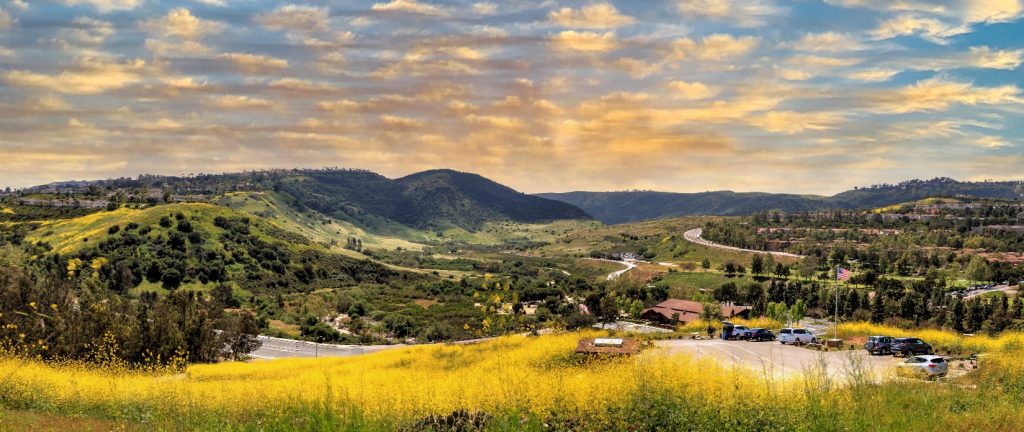 Scenic view of the rolling hills and open landscapes in Aliso Viejo, California, with yellow wildflowers, winding roads, and a colorful sunset sky.